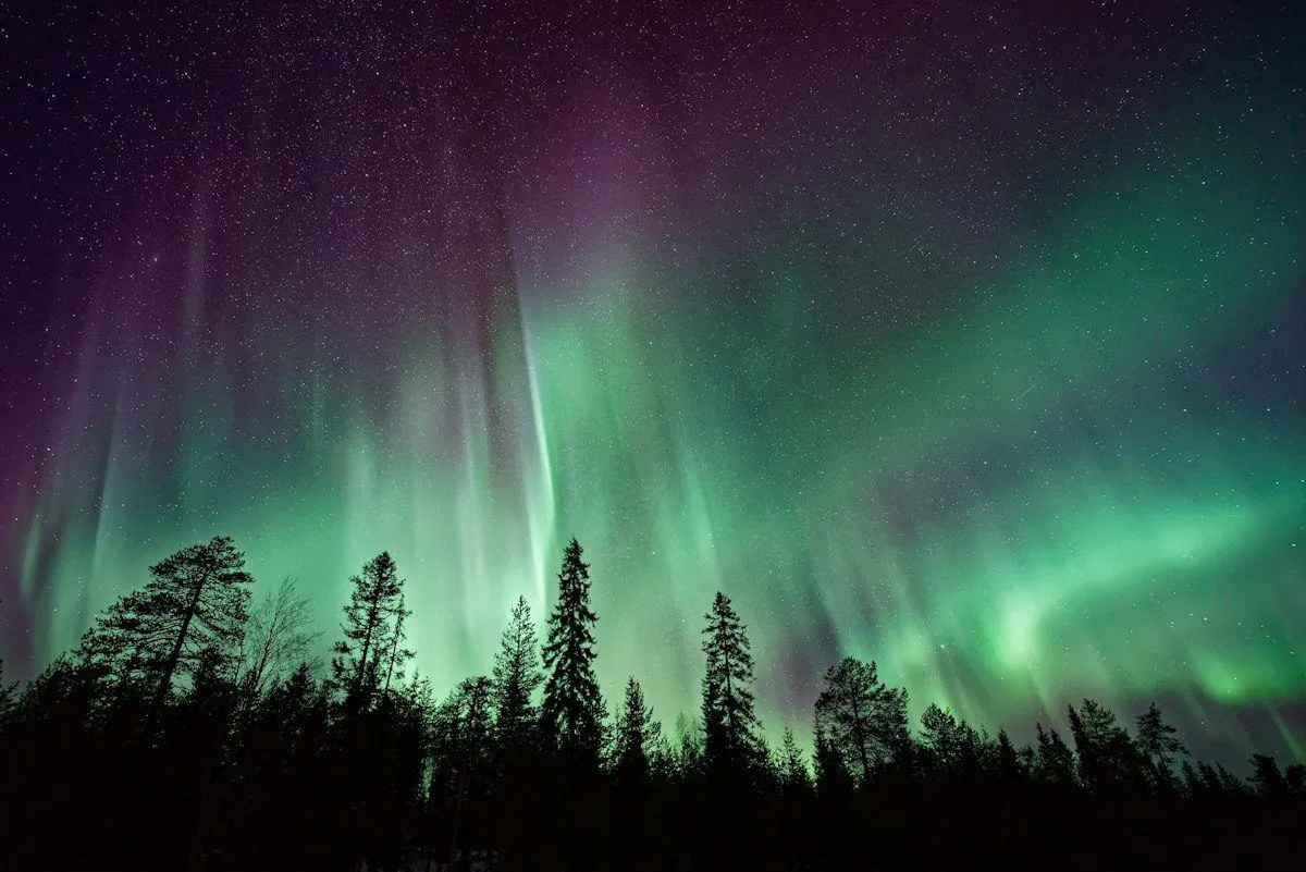 Laplandiya (Rovaniemi)